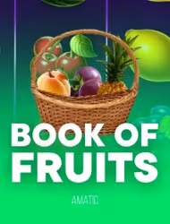 Bookof Fruits slot game